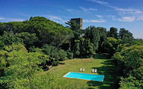 Torre Delle Cornacchie: Nube, Cielo, Proprietà, Verde, Pianta, Paesaggio Naturale, Botanica, Lotto, Albero, Erba