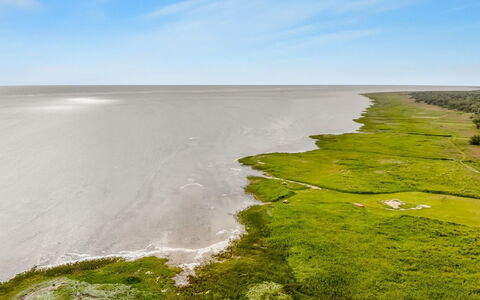 Majvor - 200M from the Sea: Legna, Casa, Portico, Deck, Latifoglie, Tetto, Color Legno, Pavimento In Legno, Eco Hotel