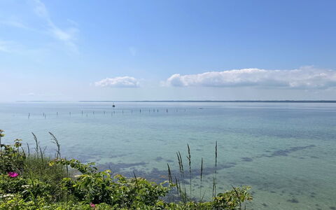 Jovana - 40M from the Sea: Casa, Casa, Porta, Tetto, Villetta, Estate, Giardino, Shade, Raccordo, Cortile