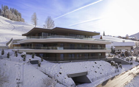 Hopfgarten im Brixental 500: Architettura, Balcone