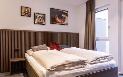 Alloggio:&nbsp;Superiormit 1 Schlafzimmer 2-4 Personen 500.3