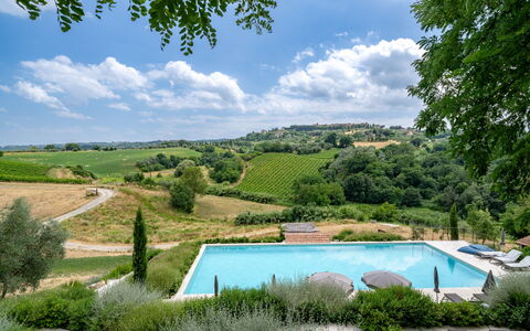 Coratina Spereto Apartment with Pool, Montaione: Piscina, Mobili Da Esterno, Giardino, Estate, Eco Hotel, Landscaping, Lettino, Piantagione, Villa, Resort Citta '