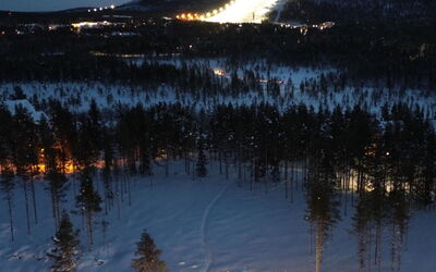Röllimetsä D 11