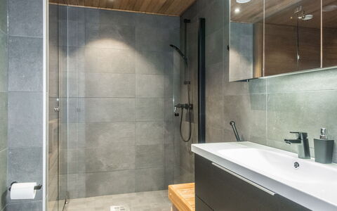 Cranberry C4: Pavimentazione, Parete, Pavimento, Bagno, Idraulico Fixture, Interior Design, Mobiletto Del Bagno, Lavello, Idraulico, Rubinetto