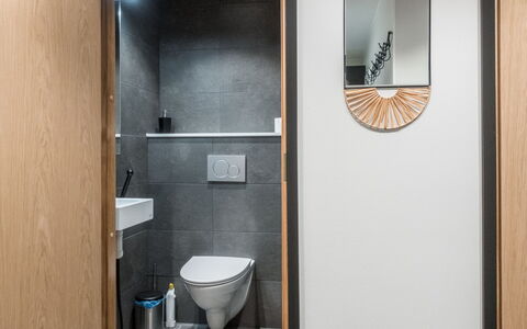 Cranberry C4: Legna, Pavimentazione, Idraulico Fixture, Pavimento, Interior Design, Bagno, Gabinetto, Idraulico, Specchio, Lavello