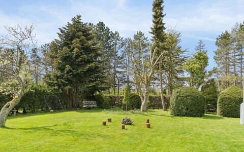 Soti - 350M from the Sea: Albero, Erba, Verde, Foglia, Arbusto, Giardino, Paesaggio, Pascolo, Prato, Lotto