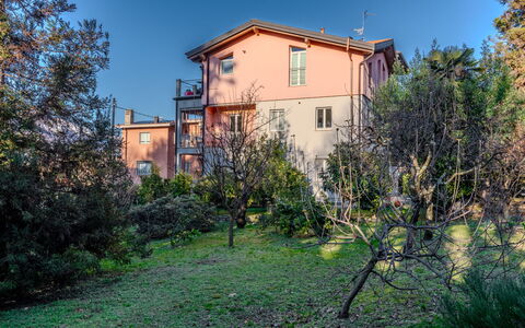 Il Pomelo: Acqua, Pianta, Cielo, Proprietà, Giorno, Costruzione, Piscina, Azzurro, Blu, Albero