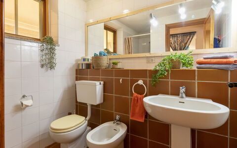 Savina: Specchio, Idraulico Fixture, Pianta, Lavello, Rubinetto, Proprietà, Lavandino Del Bagno, Costruzione, Viola, Bagno