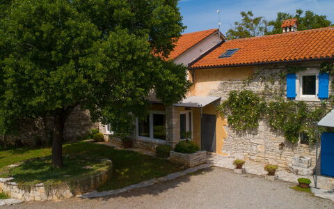 Mega: Mobilia, Proprietà, Pianta, Comfort, Tessile, Legna, Interior Design, Cabinetry, Pianta Della Casa, Pavimentazione