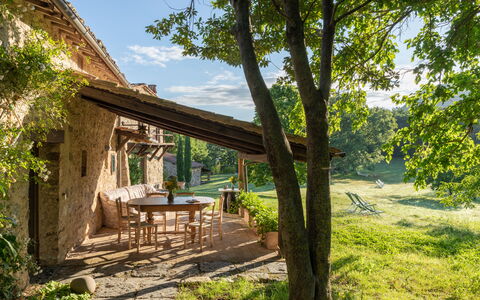 Villa Amiata: Pianta, Cielo, Tavolo, Paesaggio Naturale, Albero, Legna, Nube, Shade, Lotto, Villetta