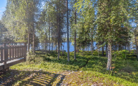 Pohjaslahdentie 17 B: Verde, Albero, Natura, Ambiente Naturale, Foglia, Paesaggio Naturale, Vegetazione, Paesaggio, Comunita 'Impianto