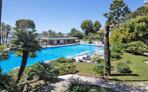 Mediterranee: Pianta, Cielo, Acqua, Proprietà, Piscina, Albero, Tempo Libero, Immobiliare, Arecales, Urban Design