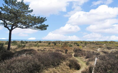 Othinkarl - 150M from the Sea