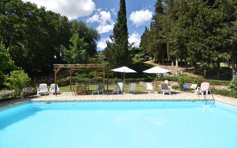 Podere Le Muricce: Acqua, Nube, Pianta, Cielo, Piscina, Azzurro, Shade, Albero, Sedia, Ombrello