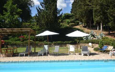 Podere Le Muricce: Acqua, Pianta, Nube, Ombrello, Cielo, Piscina, Albero, Shade, Sedia, Mobili Da Esterno
