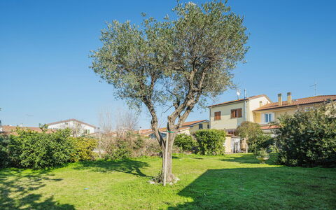 La Casa dei Limoni di Valeria: Cielo, Pianta, Giorno, Paesaggio Naturale, Costruzione, Albero, Lotto, Luce Del Sole, Erba, Quartiere
