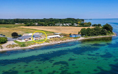 Volmar - 10M from the Sea: Blu, Arbusto, Villetta, Groundcover, Giardino, Estate, Shade, Landscaping, Agriturismo, Eco Hotel