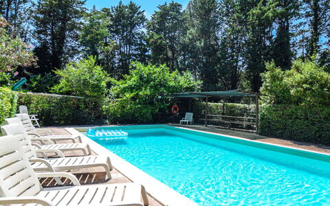 La Mora: Acqua, Pianta, Proprietà, Piscina, Cielo, Azzurro, Shade, Albero, Rettangolo, Erba