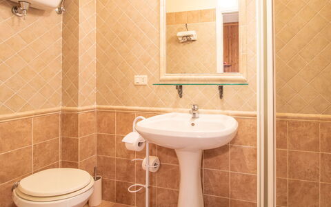 La Mora: Marrone, Idraulico Fixture, Proprietà, Lavello, Rubinetto, Lavandino Del Bagno, Bagno, Viola, Nero, Interior Design