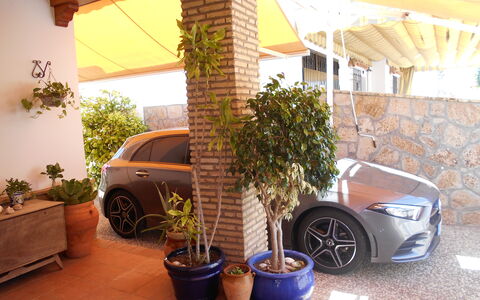 Apartamento Playa De Regla: Ruota, Pianta, Auto, Proprietà, Vaso Di Fiori, Veicolo, Automotive Pneumatico, Pianta Della Casa