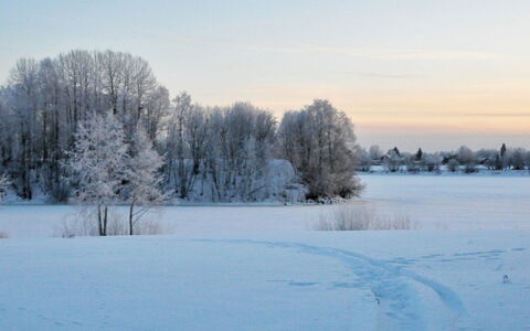 Grand Villa Kemijoki: Mobilia, Sedia, Mobili Da Esterno, Tavolo, Legna, Tavolo Esterno, Cucina & Sala Da Pranzo Tavolo, Shade, Giardino, Ombrello