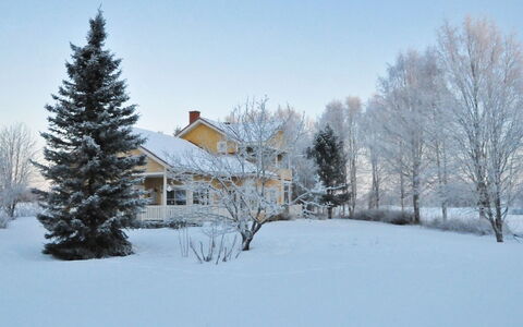 Grand Villa Kemijoki: Mobilia, Sedia, Mobili Da Esterno, Tavolo, Legna, Tavolo Esterno, Cucina & Sala Da Pranzo Tavolo, Shade, Giardino, Ombrello