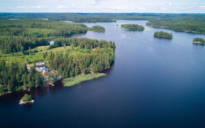 Vapunkärki