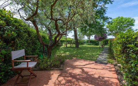 Casa Bellosguardo a Vinci: Pianta, Comunita 'Impianto, Cielo, Shade, Paesaggio Naturale, Lotto, Albero, Woody Impianto, Manto Stradale, Tempo Libero