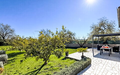 Ivan: Arbusto, Giardino, Groundcover, Landscaping, Shade, Prato, Cortile, Backyard, Passerella, Parco