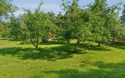 Lennart - 4Km from the Sea: Blu, Arbusto, Villetta, Groundcover, Giardino, Estate, Shade, Landscaping, Agriturismo, Eco Hotel