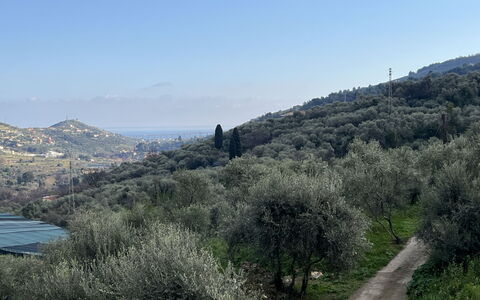 Bruna: Acqua, Cielo, Proprietà, Costruzione, Pianta, Blu, Azzurro, Piscina, Natura, Albero