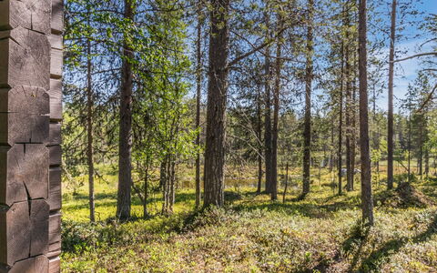 Metsäntupa: Legna, Casa, Neve, Villetta, Casa, Inverno, Tetto, Congelamento, Raccordo, Pendenza