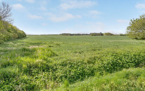 Aliza - 14Km from the Sea: Zona Residenziale, Tetto, Sobborgo, Driveway, Estate, Camino