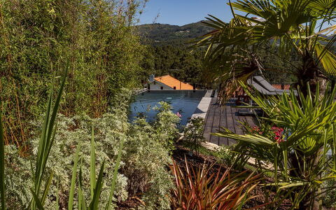 Rio Lima Retreat: Pianta, Comunita 'Impianto, Cielo, Foglia, Paesaggio Naturale, Albero, Vegetazione, Acqua, Casa, Impianto Terrestre