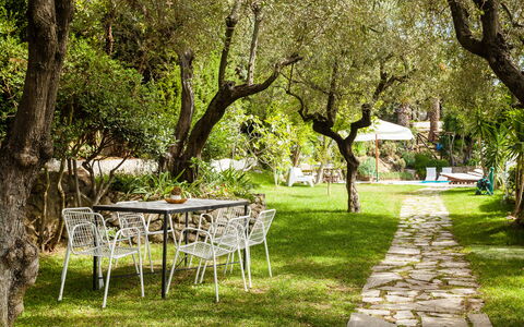 Villa Il Sole Di Sorrento: Pianta, Mobilia, Tavolo, Albero, Ramo, Paesaggio Naturale, Shade, Sedia, Erba, Mobili Da Esterno