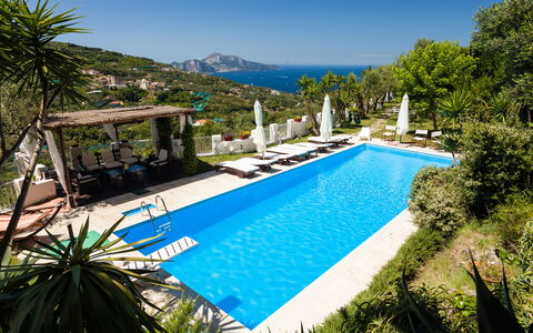 Villa Il Sole Di Sorrento: Acqua, Pianta, Cielo, Proprietà, Piscina, Azzurro, Albero, Botanica, Vegetazione, Arecales
