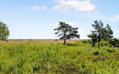 Griselda - 400M from the Sea
