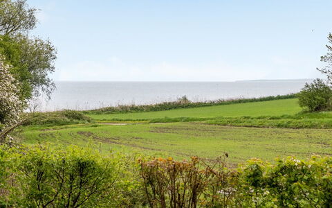 Venla - 150M from the Sea: Blu, Verde, Erba, Paesaggio Naturale, Vegetazione, Pascolo, Orizzonte, Estate, Ecoregione, Mare