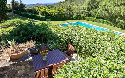 Le Mandrie: Verde, Vegetazione, Arbusto, Giardino, Comunita 'Impianto, Groundcover, Hedge, Shade, Landscaping, Giardino Botanico