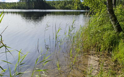 Käränkkä