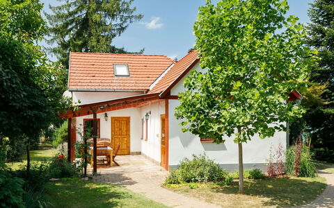 Magnolia: Pianta, Costruzione, Proprietà, Finestra, Cielo, Natura, Nube, Albero, Casa, Lotto