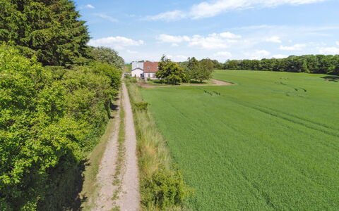 Antonina - 1.5Km from the Sea: Verde, Erba, Albero, Pascolo, Paesaggio Naturale, Campo, Estate, Plain, Paesaggio