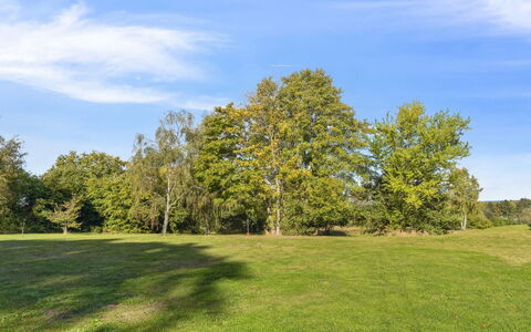 Marrit - 500M from the Sea: Cielo, Blu, Giorno, Foglia, Verde, Erba, Albero, Ramo, Ambiente Naturale, Natura