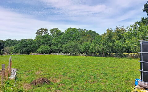 Ty Pjp: Albero, Erba, Verde, Pascolo, Pascolo, Plain, Lotto, Campo, Nube, Area Rurale