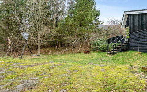 Sighfrith - 2Km from the Sea: Erba, Ramo, Arbusto, Lotto, Area Rurale, Giardino, Groundcover, Prato