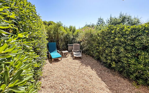 Le Plein Soleil: Arbusto, Giardino, Comunita 'Impianto, Groundcover, Hedge, Landscaping, Cortile, Passerella, Giardino Botanico, Backyard
