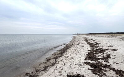 Antonina - 225M from the Sea