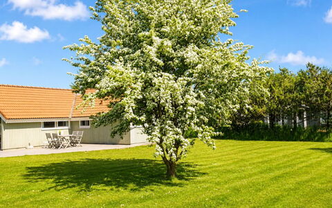 Allita - 12Km from the Sea: Casa, Casa, Porta, Tetto, Villetta, Estate, Giardino, Shade, Raccordo, Cortile