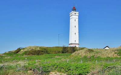 Joachim - 200M from the Sea