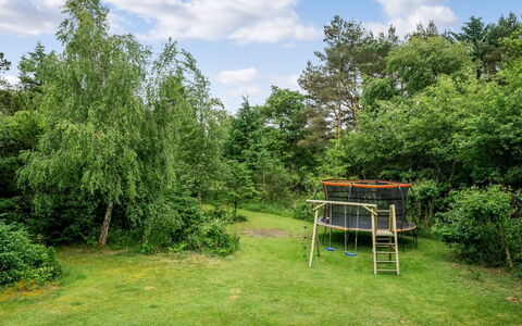 Atla - 2.5Km from the Sea: Erba, Arbusto, Giardino, Lotto, Prato, Prato, Pascolo, Woodland, Shade